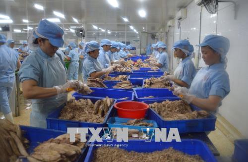 Triển khai thi hành Luật Lâm nghiệp, Luật Thủy sản 
